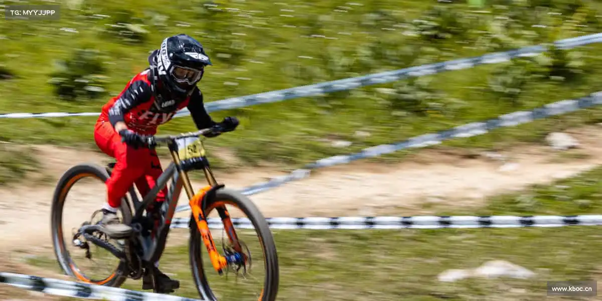 为什么选择我们